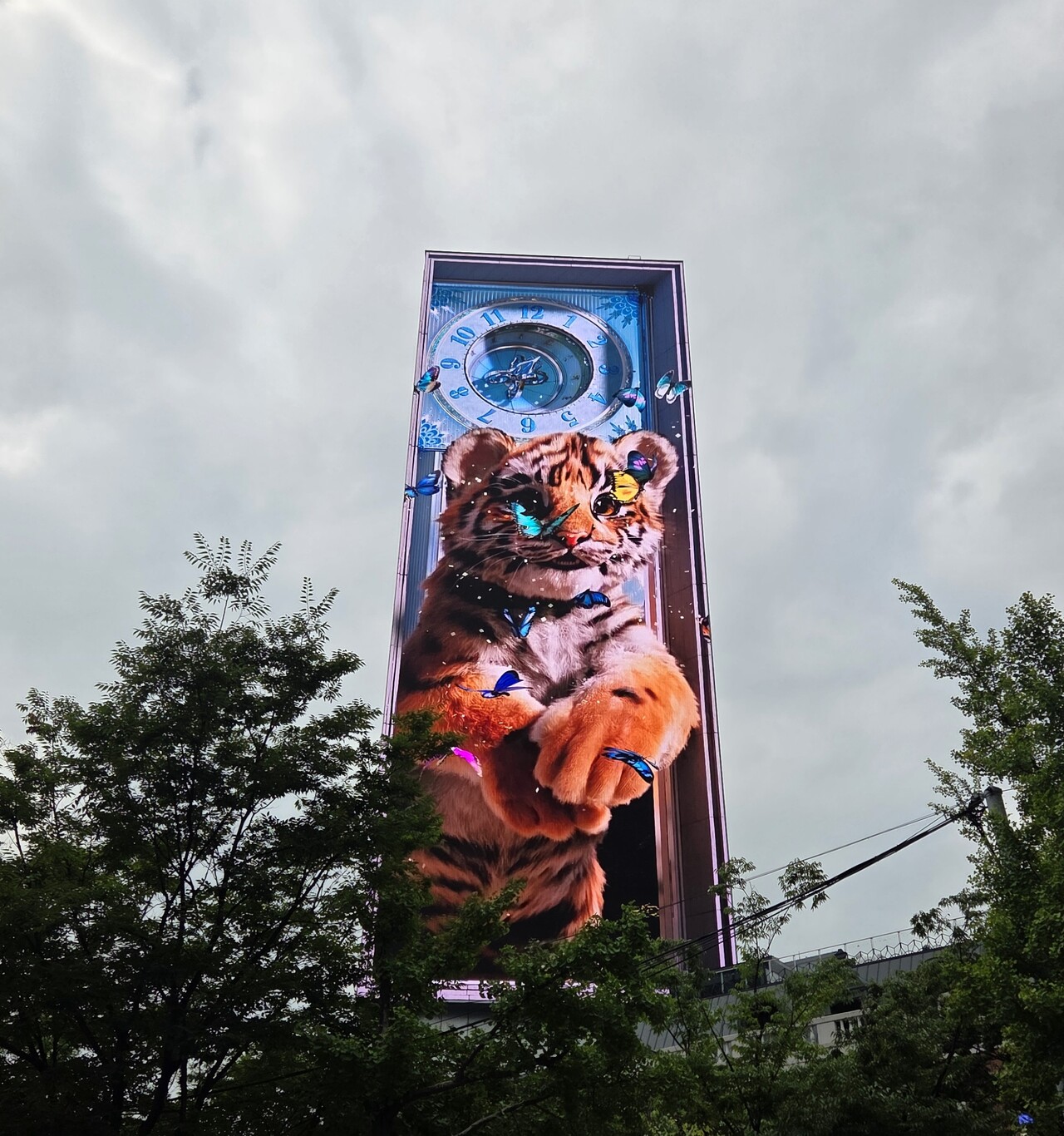 서울 중구 코리아나호텔 외벽에 설치된 디지털 사이니지 / 이광영 기자