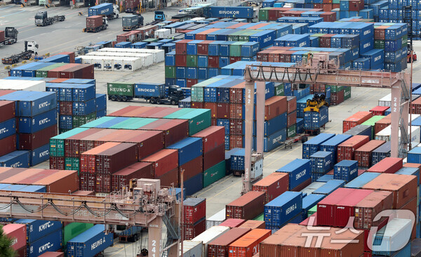 8월 11일 부산항 신선대부두 야적장에 컨테이너가 가득 쌓여 있는 모습. / 뉴스1