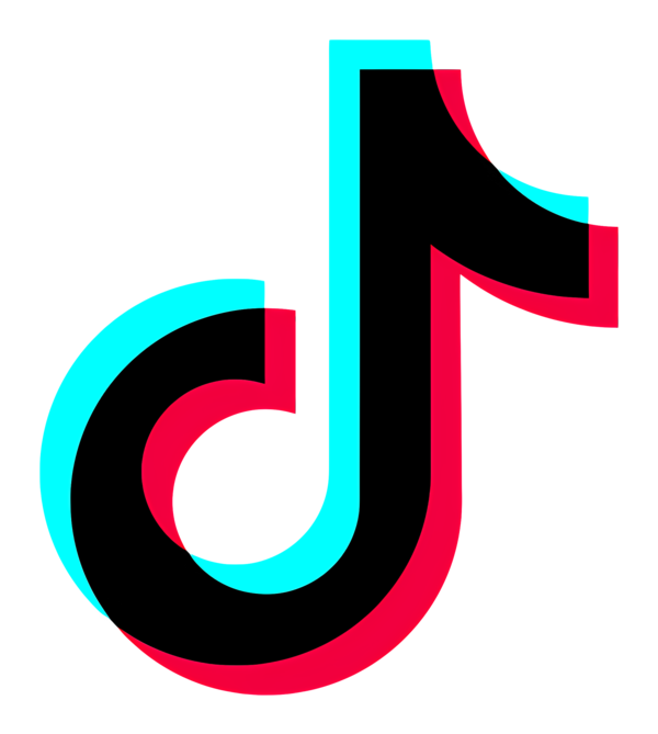 틱톡 로고. /틱톡