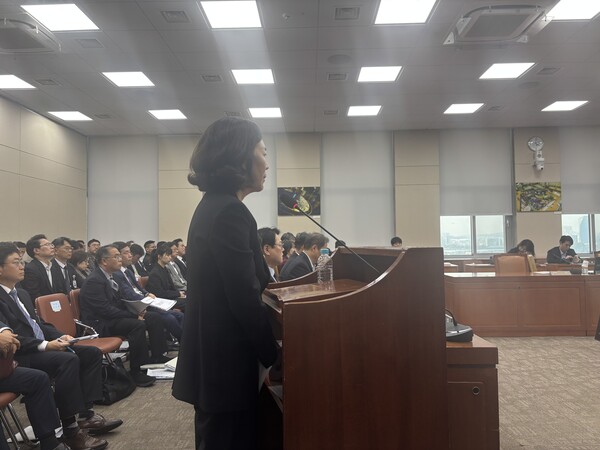 황성혜 구글코리아 대외협력정책 부사장이 30일 국회 과학기술정보방송통신위원회 종합 국정감사에서 이정헌 더불어민주당 의원 질의에 답하고 있다. / 김광연 기자