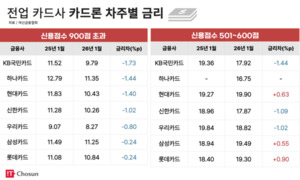 대통령 의지 역행하는 카드사... "고신용자 대출금리 낮춰 드려요" - 뉴스 썸네일 이미지