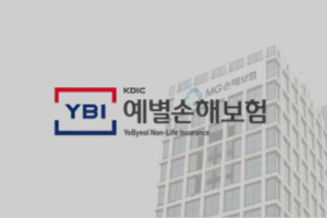 예별손보 새주인에 OK금융… 매각 우협대상자 선정