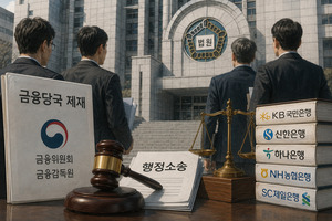 소송 무서워 제재 못하나… 몸사리는 금융당국