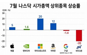AI 거품론 ‘솔솔’… 美 빅테크, 명암 엇갈려 [반도체 쇼크와 외국인 ⑥]
