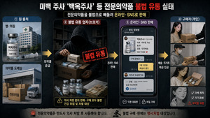 ‘백옥주사’ 등 전문약 1억6000만원 불법 판매… 156명에 택배·직거래