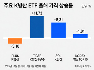 K방산 ETF 효자였던 한화오션… 올해는 애물단지