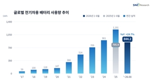 전기차 배터리 시장 20% 성장에도… K배터리 점유율은 12.7%로 하락